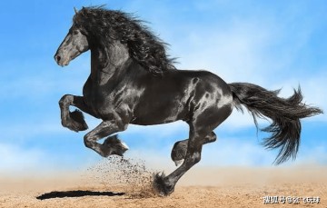 大巴黎遇“敦刻尔克大撤退”？法乙黑马想用铁桶阵“炸航母”